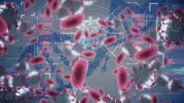 Animasi Dari Sel Virus Lebih Dari Pemrosesan Data Dan Untai — Stok Video