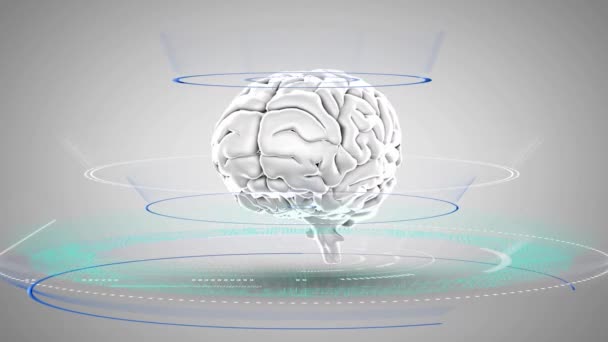 Animazione Rotazione Cerebrale Elaborazione Dati Circuiti Integrati Cerchi Sfondo Grigio — Video Stock