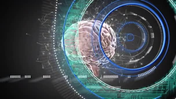 Анімація Обертання Мозку Обробка Даних Інтегральні Схеми Кола Чорному Тлі — стокове відео