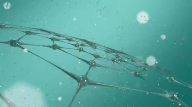 Mavi arka planda gümüş şebeke animasyonu. Bilim ve veri işleme kavramı dijital olarak oluşturulmuş video