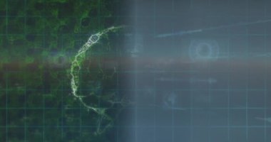 Kapsam taraması ve beyin üzerinde veri işleme animasyonu. küresel iş ve dijital arayüz kavramı dijital olarak oluşturulmuş video.