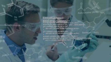 Kafkas kadın ve erkek laboratuvar çalışanları üzerinde bilimsel verilerin animasyonu. Bilim, insan biyolojisi, teknoloji ve dijital arayüz konsepti dijital olarak oluşturulmuş video.