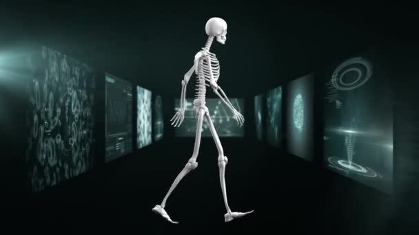Animation Data Processing Skeleton Black Background Global Business Finances Connections — ストック動画