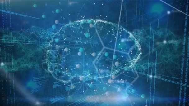 化学式と青色の背景に回転する脳とDna鎖のアニメーション 人間の遺伝学 テクノロジーの概念をデジタルで生成し — ストック動画