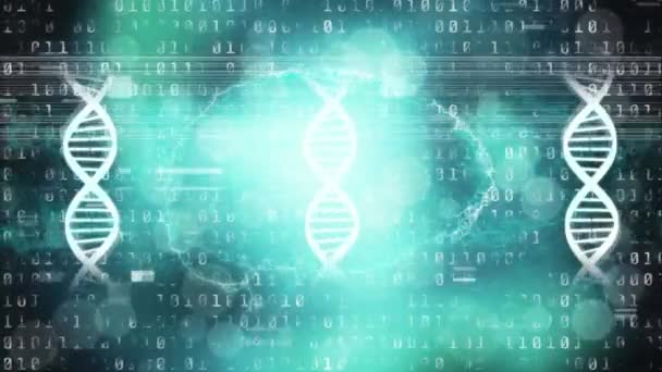 二進コードでデジタル空間で回転するDna鎖と脳のアニメーション 人間の遺伝学 テクノロジーの概念をデジタルで生成し — ストック動画