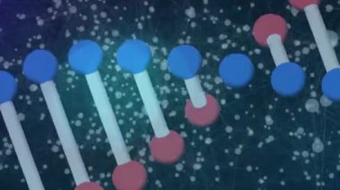 Siyah arkaplanda dönen beyaz noktalı DNA zincirinin animasyonu. Bilim, insan genetiği ve teknoloji konsepti dijital olarak üretilen video.