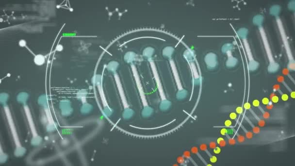 Анимация Цепи Дна Вращающейся Черному Экрану Молекулами Разнообразными Данными Научная — стоковое видео