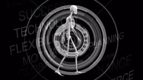 Animation Human Skeleton Scope Scanning Text Data Processing Global Science — Video Stock