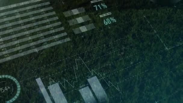 Animación Del Procesamiento Datos Sobre Fútbol Estadio Deportivo Concepto Interfaz — Vídeo de stock