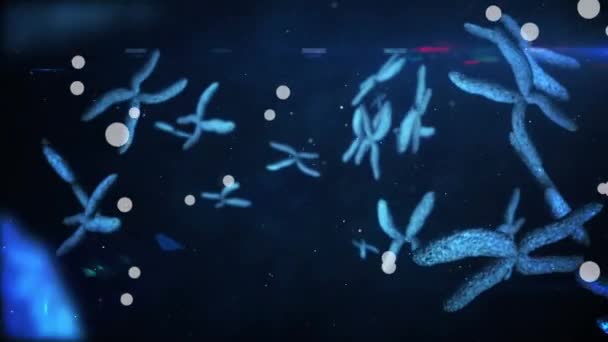 Animation Von Chromosomen Und Weißen Flecken Auf Blauem Hintergrund Globales — Stockvideo