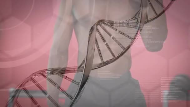 Animation Dna Strand Spinning Data Processing Exercising Strongman Global Connections — Stock Video