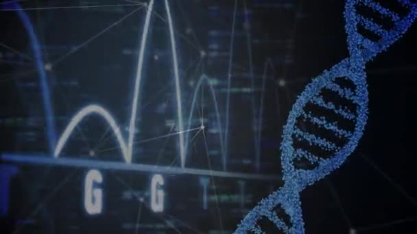 Animation Dna Strand Spinning Scientific Data Processing Blue Background Global — Stock Video