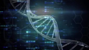 Mavi arka planda bilimsel veri işleme üzerinde dönen DNA iplikçiklerinin animasyonu. küresel bilim, veri işleme ve dijital arayüz kavramı dijital olarak oluşturulmuş video.