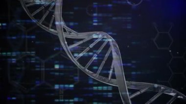 Mavi arka planda bilimsel veri işleme üzerinde dönen DNA iplikçiklerinin animasyonu. küresel bilim, veri işleme ve dijital arayüz kavramı dijital olarak oluşturulmuş video.