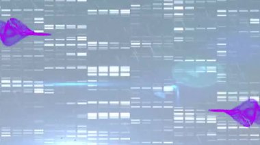 Gri arkaplandaki mor dalgaların ışıklarla canlandırılması. küresel bilim, veri işleme ve teknoloji konsepti dijital olarak oluşturulmuş video.