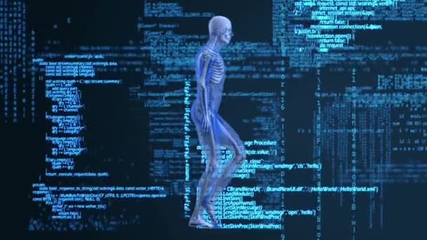 青と黒の空間でのデータ処理を人間のモデルを歩くアニメーション 人間の生物学科学技術データ処理の概念デジタルで生成されたビデオ — ストック動画