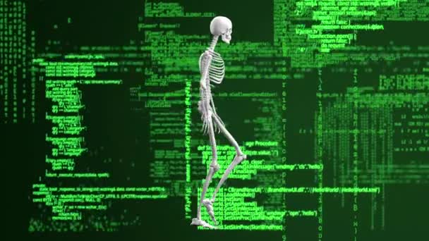 緑と黒の空間でデータ処理を歩く人間の骨格モデルのアニメーション 人間の生物学科学技術データ処理の概念デジタルで生成されたビデオ — ストック動画