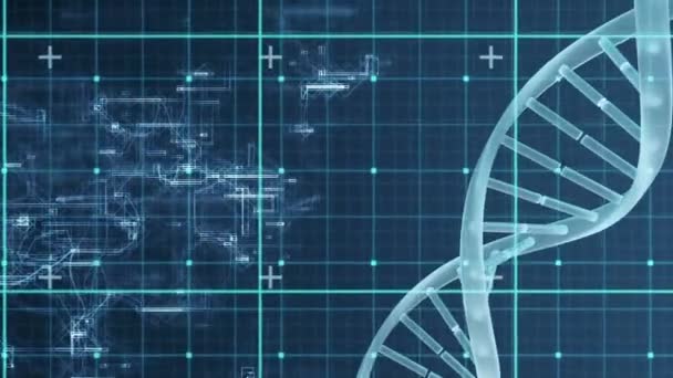 검사된 위에서 회전하는 Dna 애니메이션 인간의 생물학 데이터 디지털 비디오 — 비디오