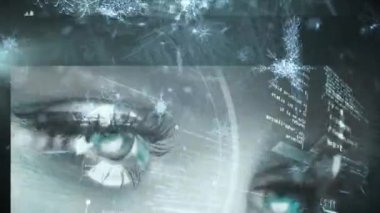 Çeşitli verilerle ekranlara düşen kar tanelerinin animasyonu. Noel, kış, teknoloji ve veri işleme kavramı dijital olarak oluşturulmuş video.