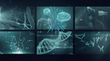 İnsan biyolojik ve anatomik verileri olan ekranların animasyonu. İnsan biyolojisi, bilim ve teknoloji konsepti dijital olarak üretilen video.
