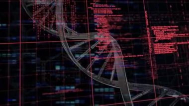 Kırmızı ve siyah uzayda ışıklarla veri işleme üzerinde dönen DNA zincirinin animasyonu. küresel teknoloji, bilim, veri işleme ve dijital arayüz konsepti dijital olarak oluşturulmuş video.