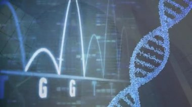 Koyu mavi ekrandaki genom verilerinin üzerindeki DNA zincirinin animasyonu. veri işleme, bilim, genetik, teknoloji ve dijital arayüz kavramı dijital olarak oluşturulmuş video.