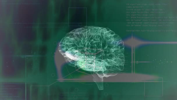 Animation Cerveau Tournant Sur Fond Vert Concept Biologie Humaine Anatomie — Video