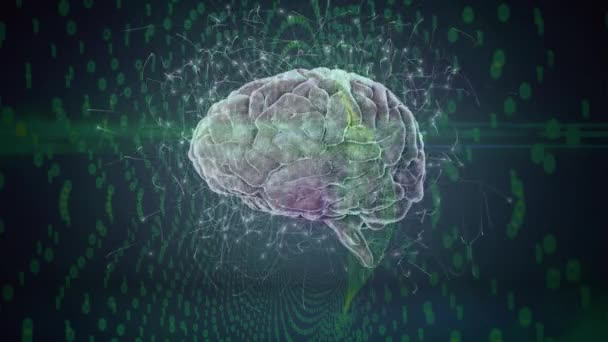 Анімація Мозку Обертається Зеленому Чорному Тлі Нейронними Язками Людська Біологія — стокове відео