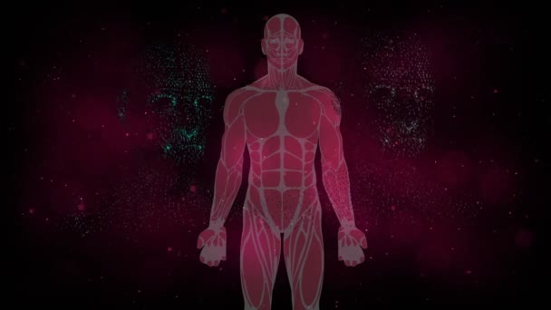 Dna鎖が人間の体の上を回転するアニメーション グローバルな科学 データ処理の概念デジタルで生成されたビデオ — ストック動画