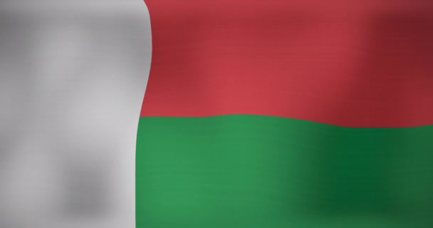マダガスカルの旗を振るアニメーション 愛国心と世界の概念の旗をデジタルで生成し — ストック動画