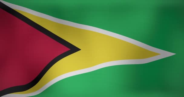 Animazione Sventolare Bandiera Della Guyana Patriottismo Bandiera Del Mondo Concetto — Video Stock