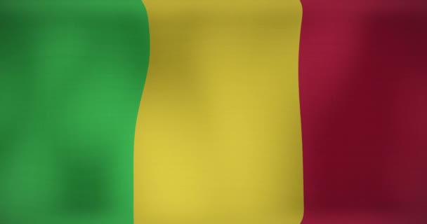 Animation Waving Flag Mali Patriotism Flag World Concept Digitally Generated — Stock Video