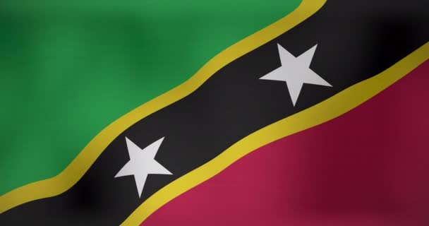 Animation Drapeau Agitant Des Saints Kitts Nevis Patriotisme Drapeau Monde — Video