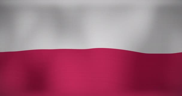 ポーランドの旗を振ってのアニメーション 愛国心と世界の概念の旗をデジタルで生成し — ストック動画