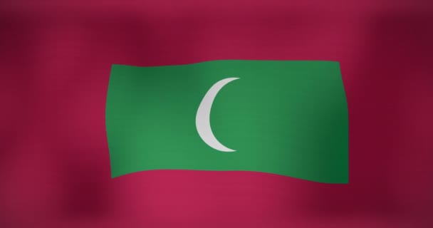 Animation Waving Flag Maldives Patriotism Flag World Concept Digitally Generated — Stock Video