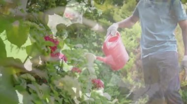 Bahçesinde sulama tenekesi olan mutlu bir melez yerine ağaçların animasyonu. Bahçe işleri ve halk bahçesi haftası konsepti dijital olarak oluşturulmuş video.