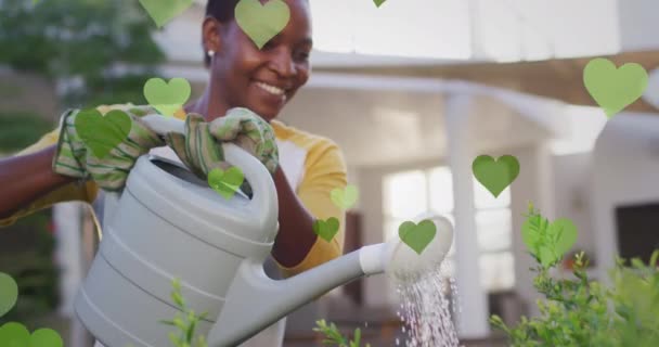 Animation Green Hearts Happy African American Woman Watering Plants Houseplants — Stock Video