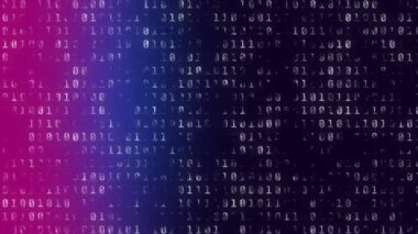 Pembe, mavi ve mor arka planda ikili kod işleme animasyonu. bilgisayarlar, programlama, teknoloji ve dijital arayüz kavramı dijital olarak oluşturulmuş video.