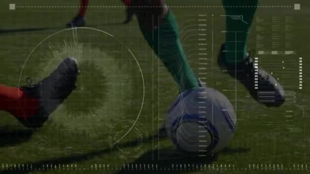 Animazione Diversi Elaborazione Dei Dati Gambe Diversi Giocatori Calcio Maschile — Video Stock