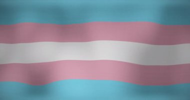 Trans gurur renkleri sallanan lgbt bayrağının animasyonu. Vatanseverlik, siyaset ve kutlama konsepti dijital olarak oluşturulmuş video.