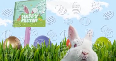 Paskalya yumurtası ikonlarının birleşik videosu paskalya tavşanı, yeşil ot ve paskalya yumurtalarına karşı. Paskalya bayramı konsepti