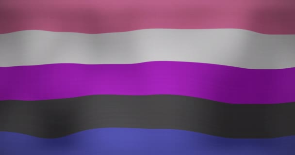 Animation Lgbt Flag Gender Fluid Colours Waving Patriotism Politics Celebration — Stock Video