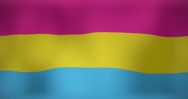 Animation Lgbt Flagga Med Pansexuell Stolthet Färger Viftar Patriotism Politik — Stockvideo