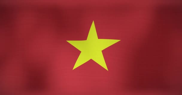 Animatie Van Nationale Vlag Van Vietnam Zwaaien Patriottisme Politiek Viering — Stockvideo