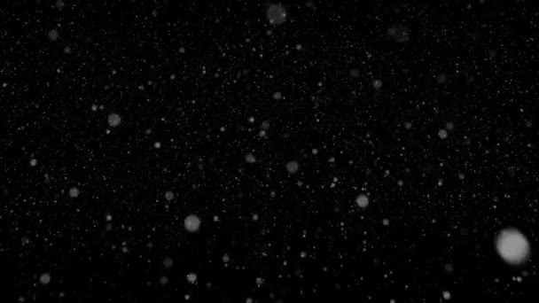 Animación Digital Nieve Cayendo Sobre Fondo Rojo Con Espacio Copia — Vídeo de stock
