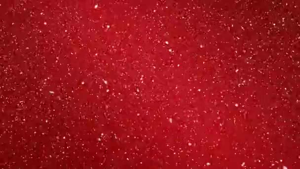 Kırmızı Arkaplanda Kopyalanan Karların Dijital Animasyonu Noel Şenliği Kutlama Konsepti — Stok video