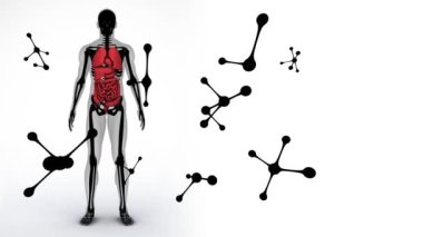 İnsan vücudunun üzerine düşen moleküllerin animasyonu. Dijital ortamda üretilmiş küresel bilim ve teknoloji kavramı.