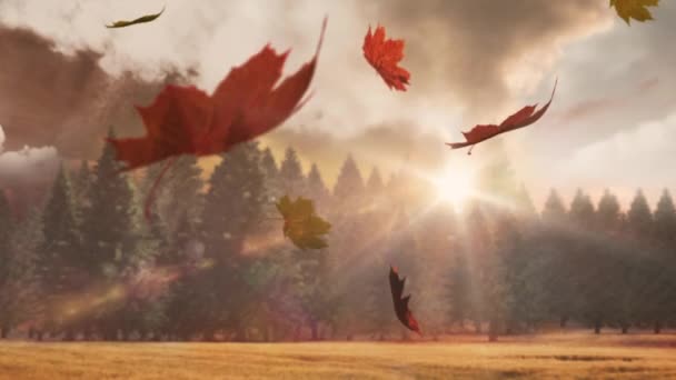 Kompositvideo Von Mehreren Herbstblättern Die Gegen Hohe Tressen Wald Fallen — Stockvideo