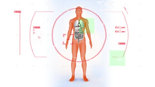 Анімація Цифрового Інтерфейсу Над Моделлю Людського Тіла Глобальні Наукові Дослідження — стокове відео