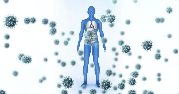 Animasi Dari Jatuhnya Virus Atas Model Tubuh Manusia Global Science — Stok Video